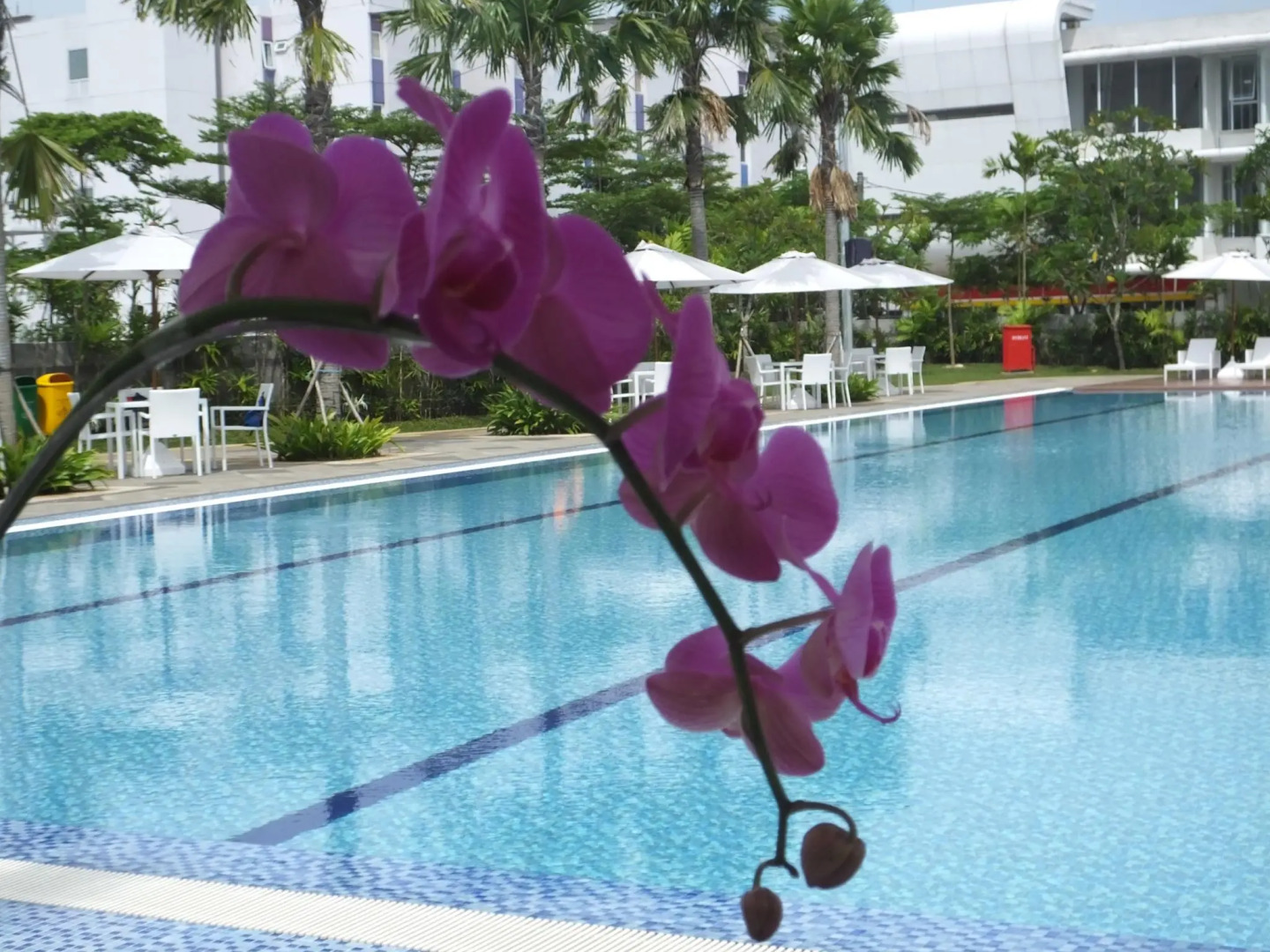 Nunia Inn Bandara Jakarta