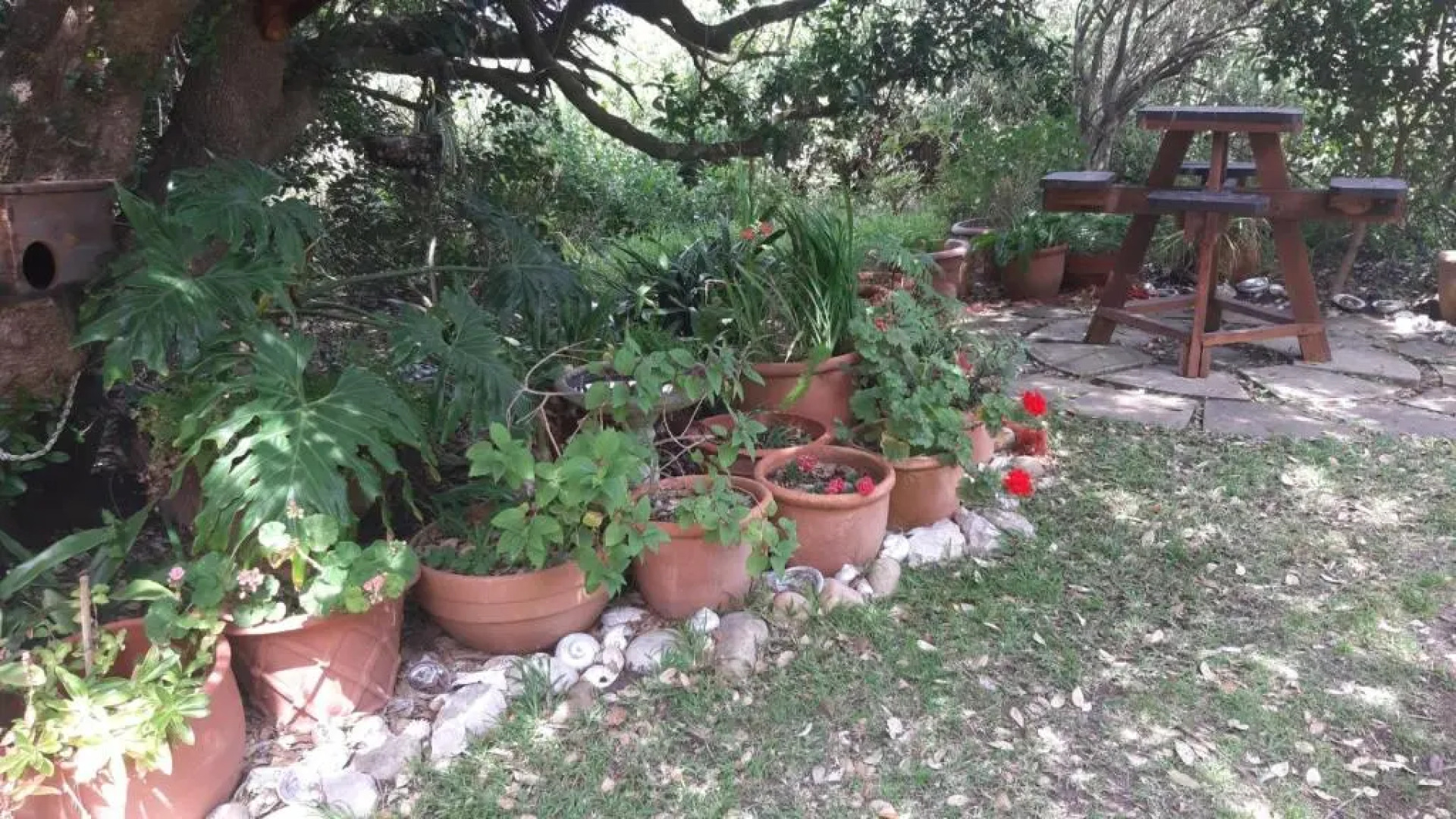 Gogo's garden apartment