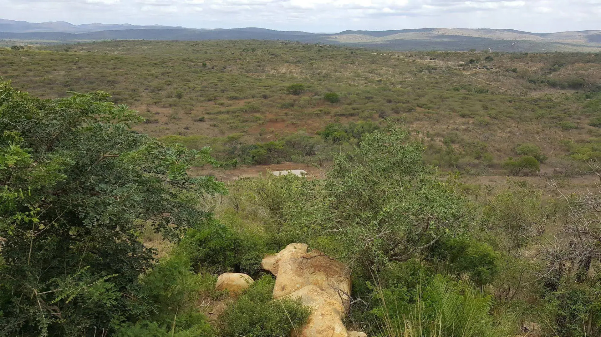 Rhino Ridge Safari Lodge