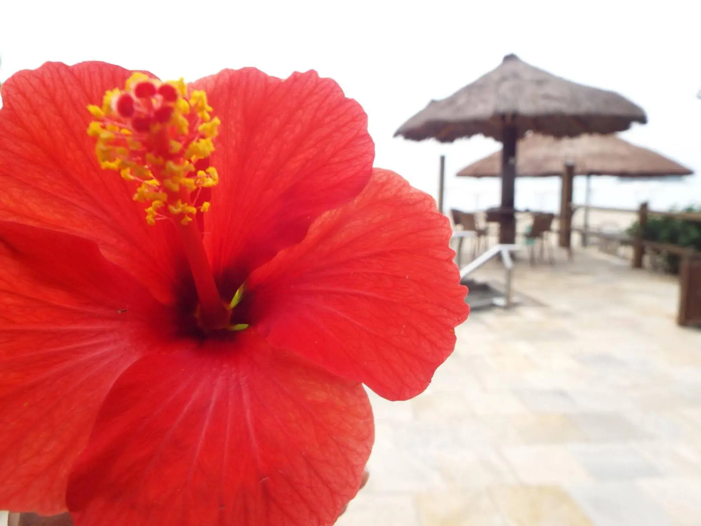 Pousada Pedra da Ilha