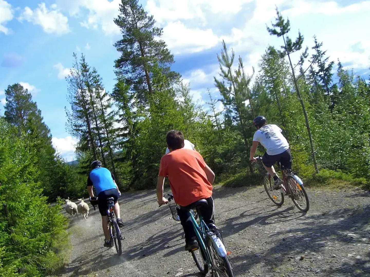 Mesnabakken pensjonat