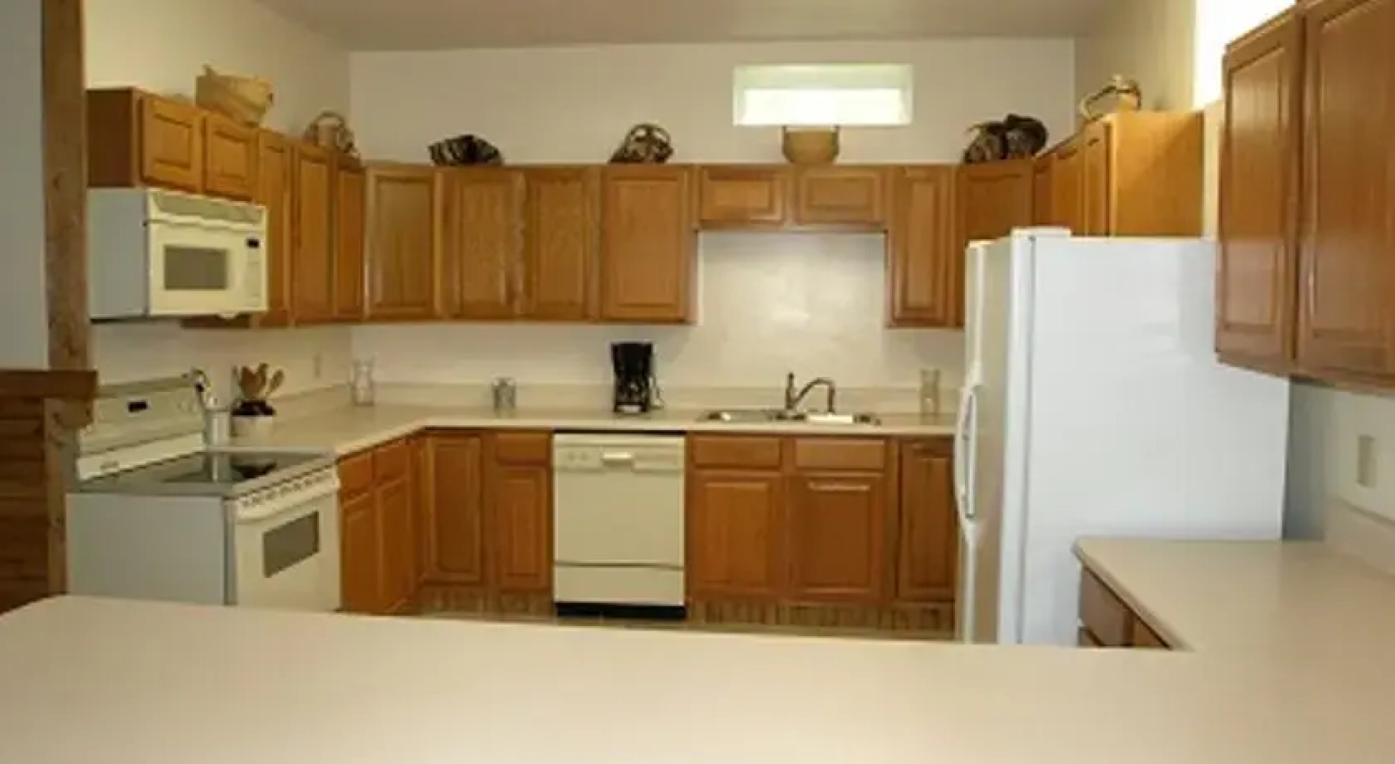 White Lightnen Rental