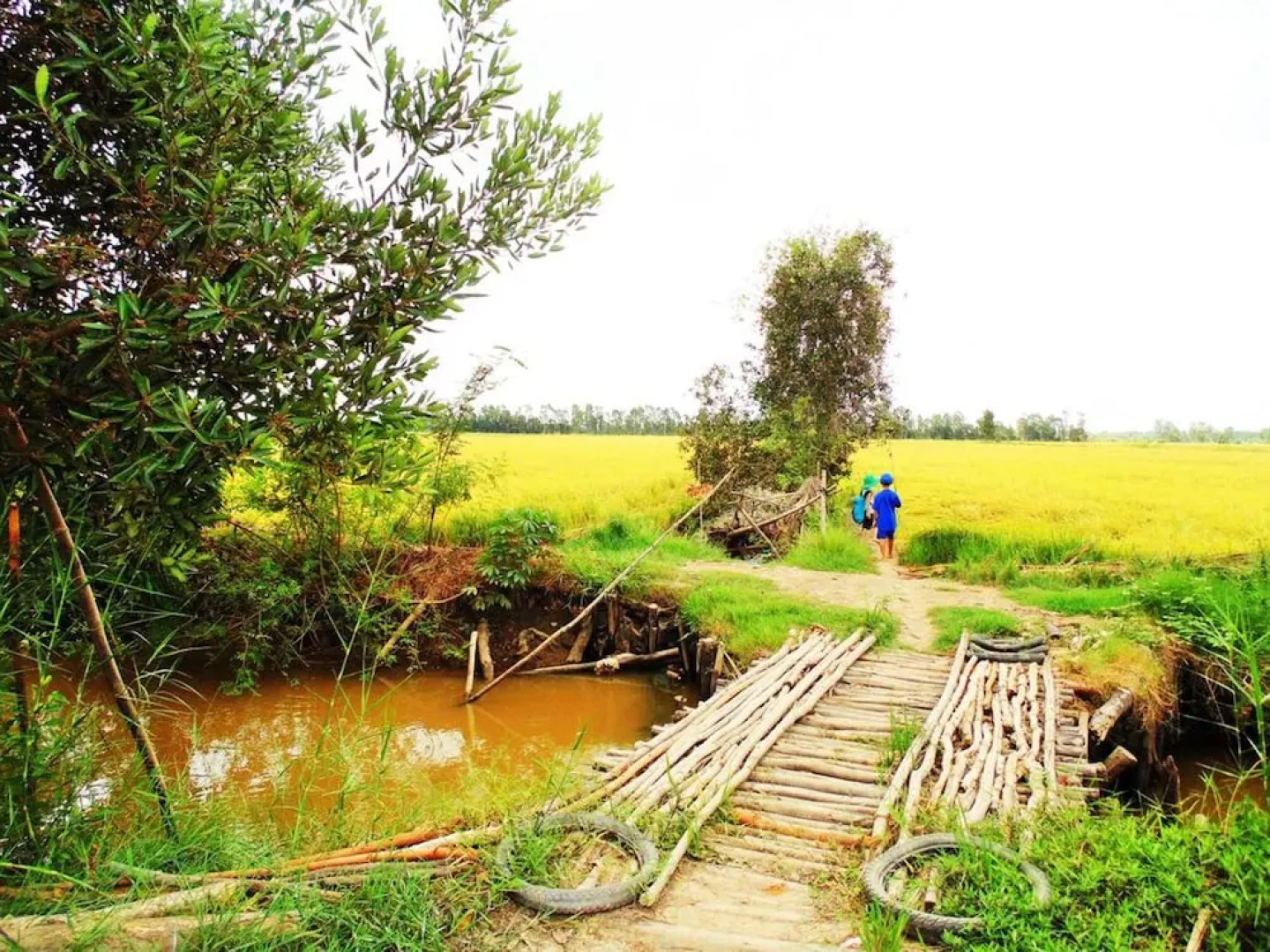 Hai Lua Homestay (Lotus Lake Homestay)