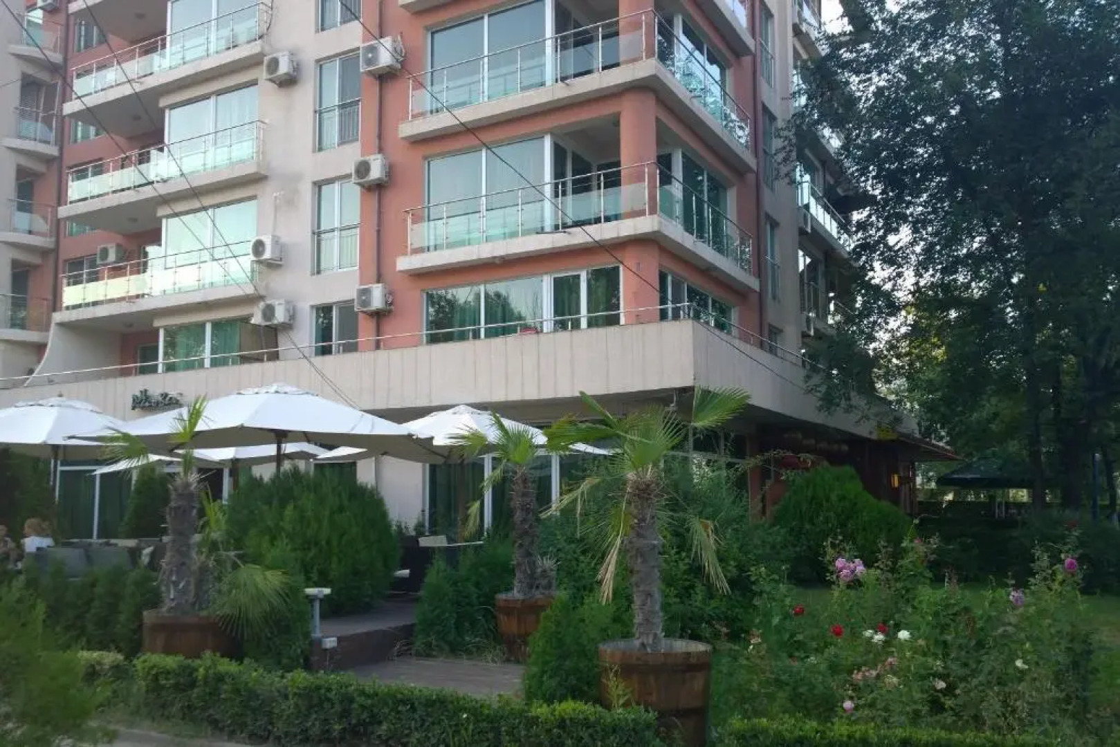 Evergreen Vlas Mamaia