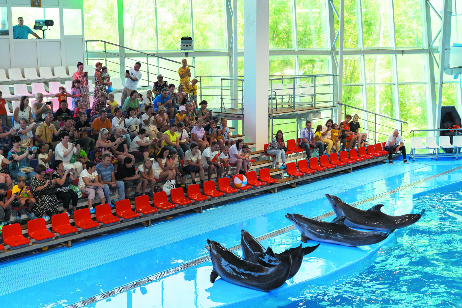 Океан (Владивосток)