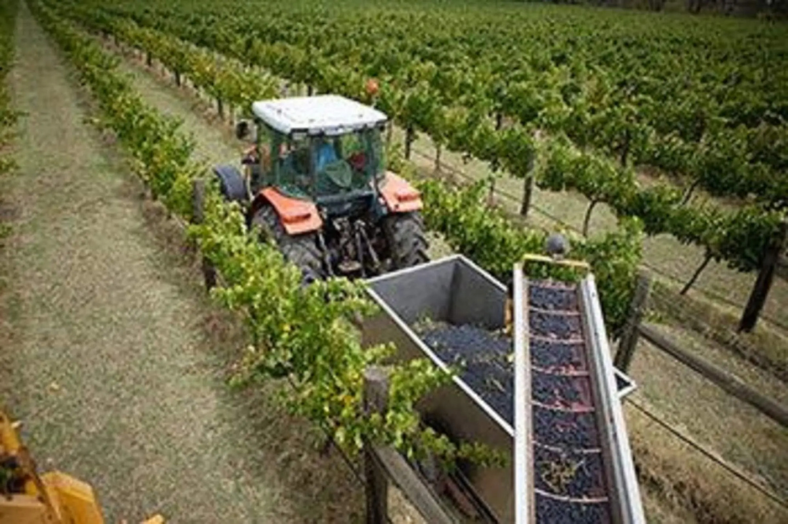 The Mitchelton  Nagambie - MGallery by Sofitel