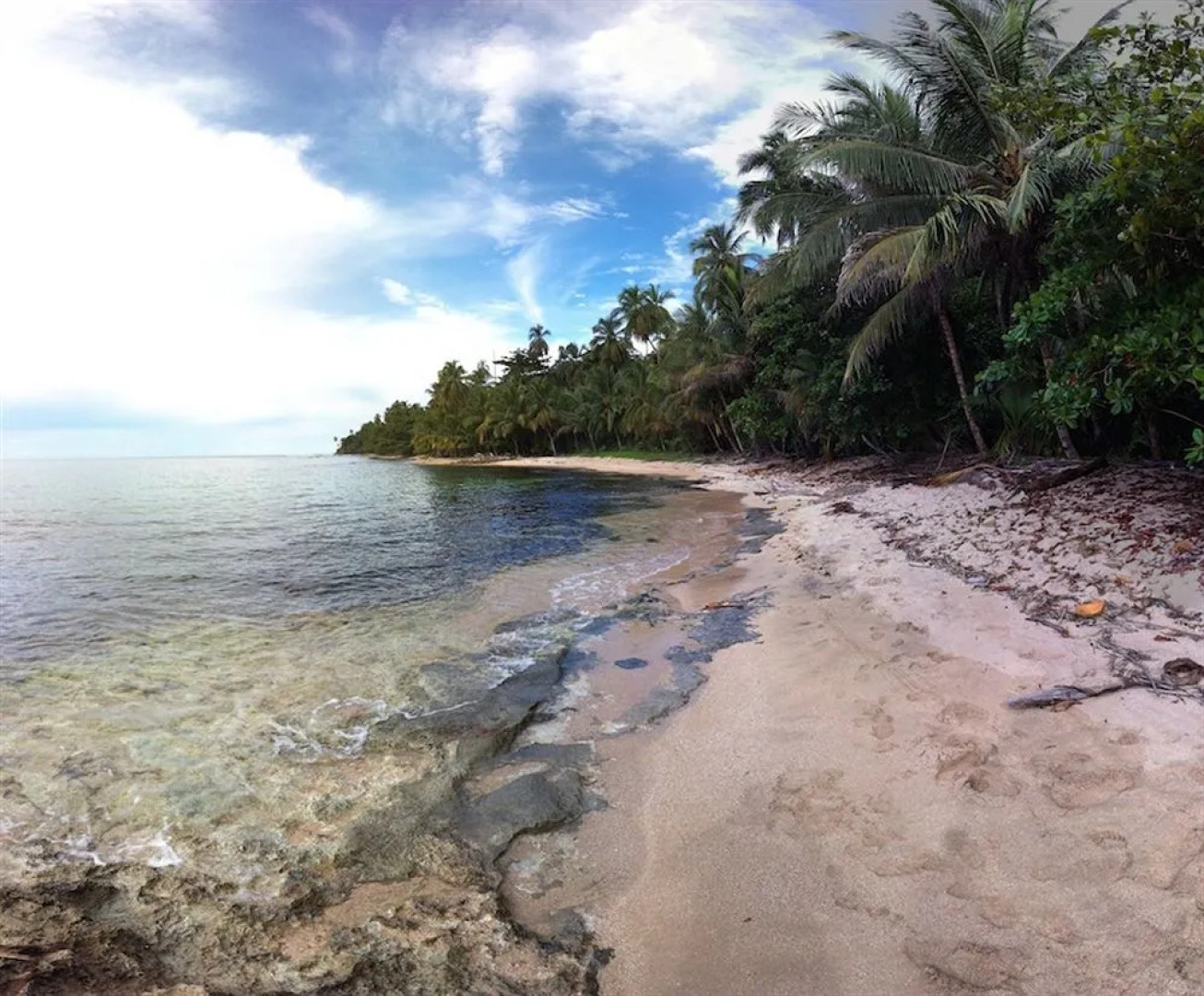 Samasati Yoga & Wellness Retreat