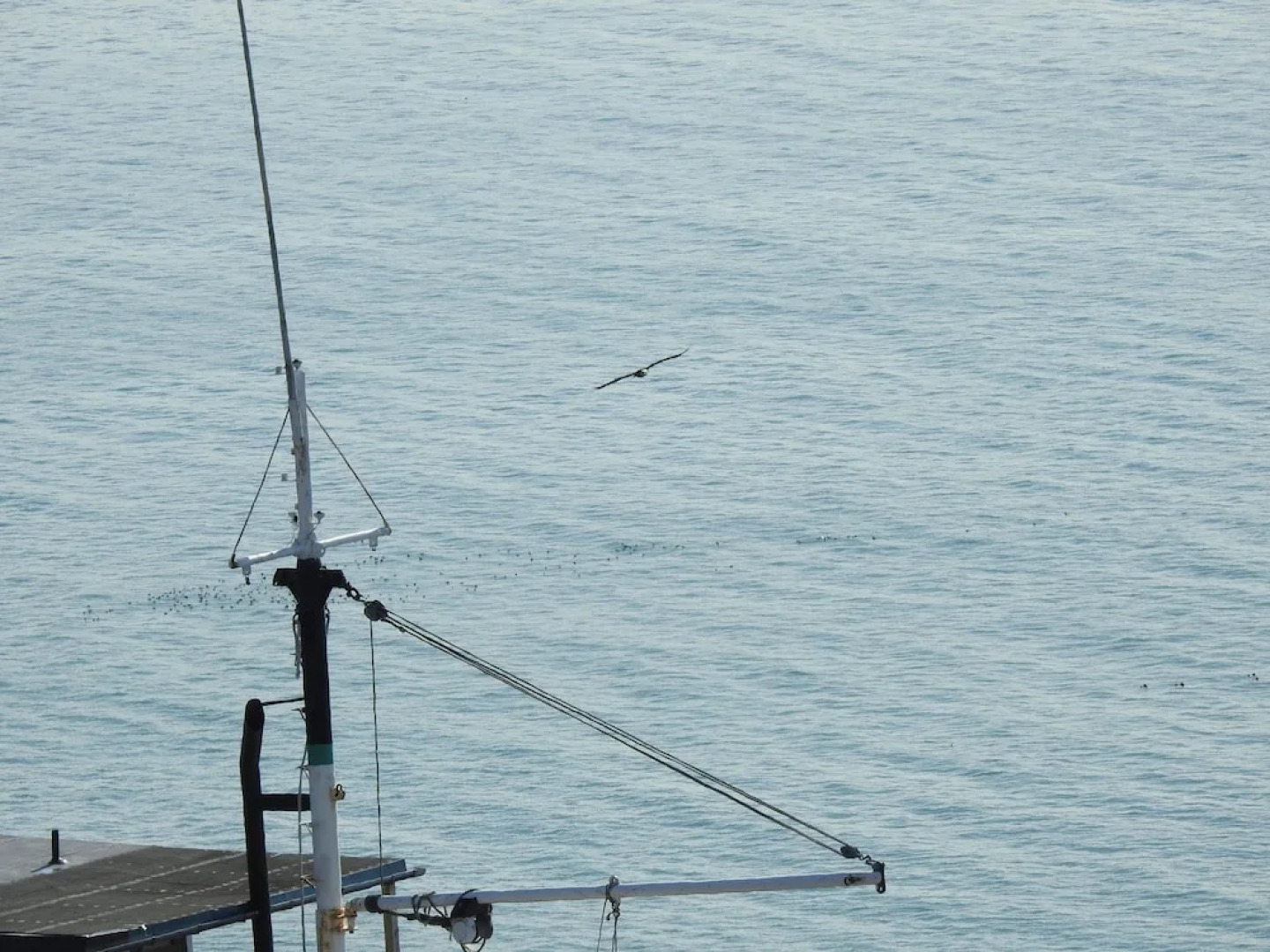 Alaska Adventure Cabins