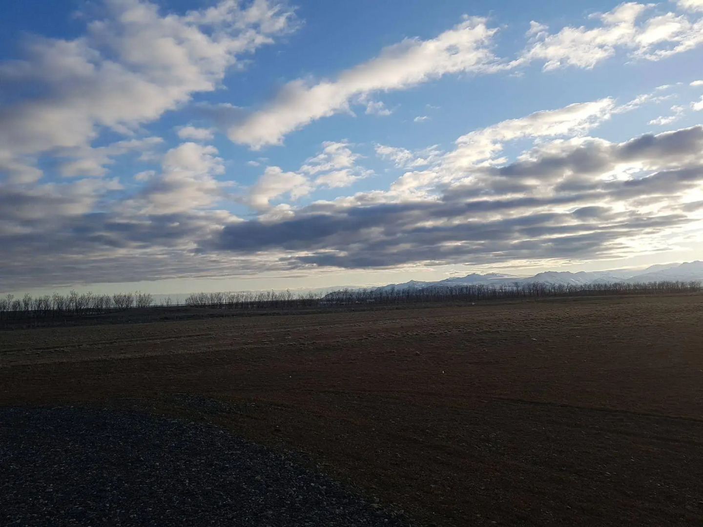 Seljavellir Guesthouse