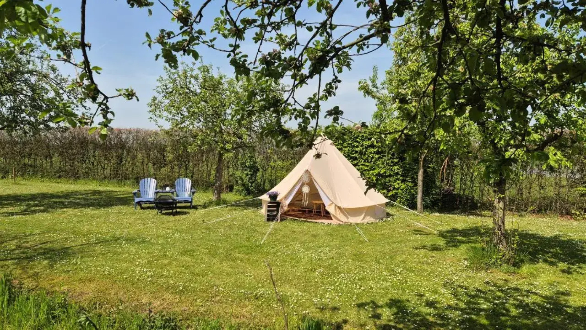 Erve Wisselink Wijngaard