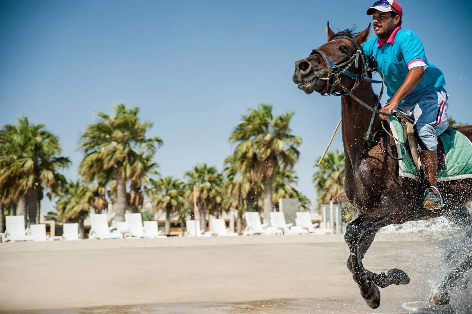 Sealine Beach - a Murwab Resort