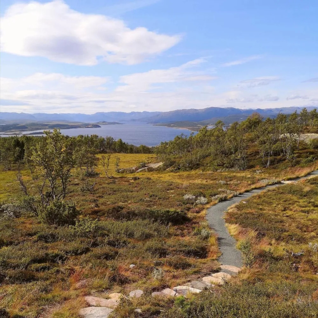 Skinnarbu Nasjonalparkhotell