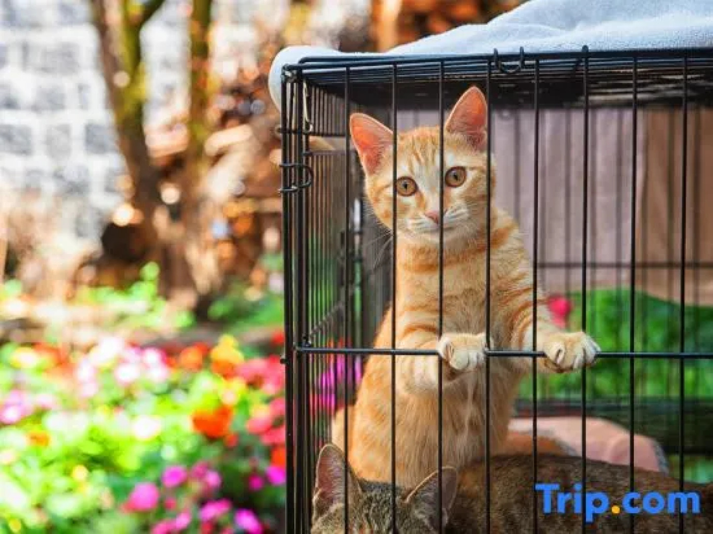 Floral Hotel·Our Yard Hotel（tengchong）