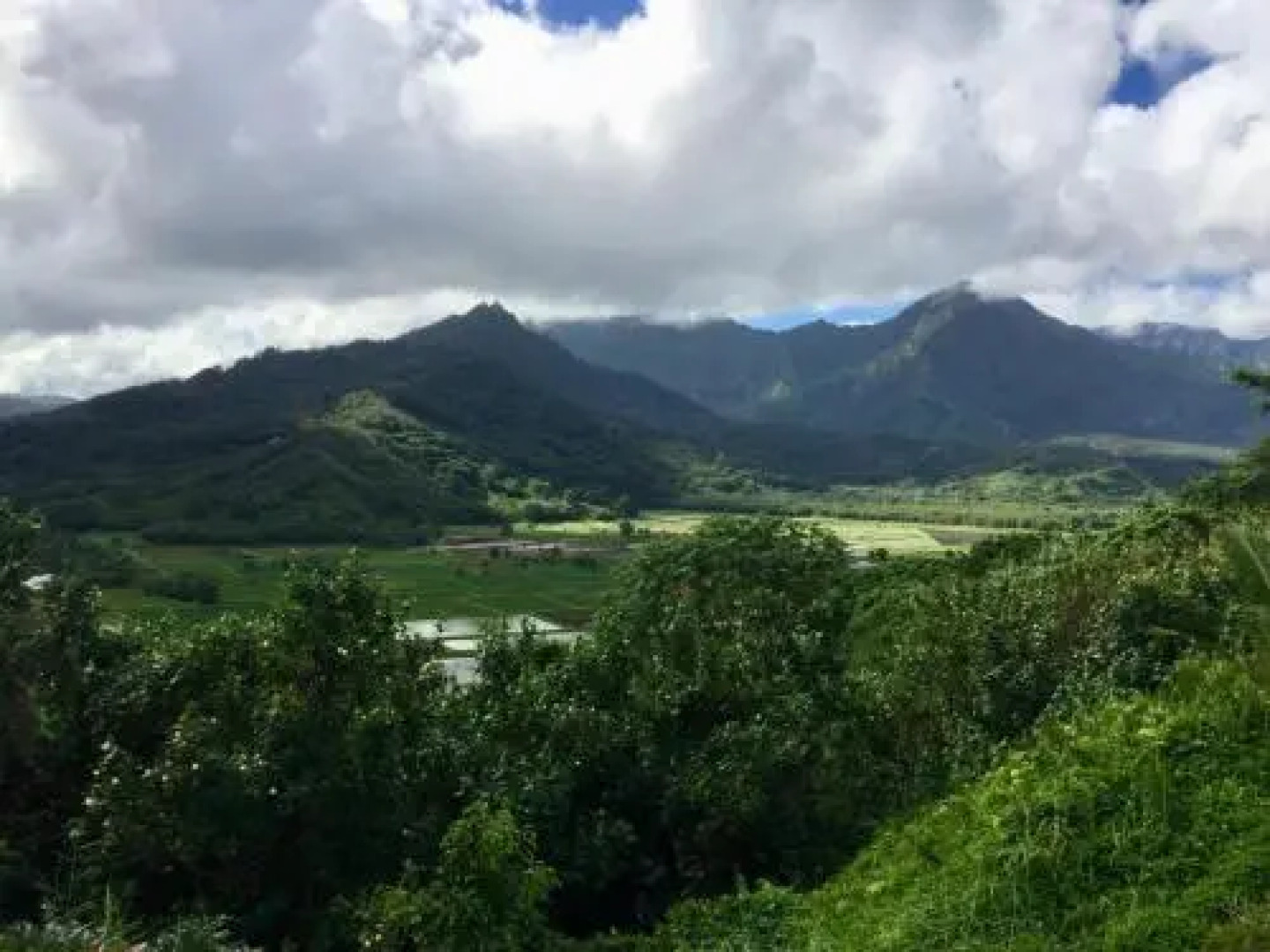 Cliffs at Princeville #3201