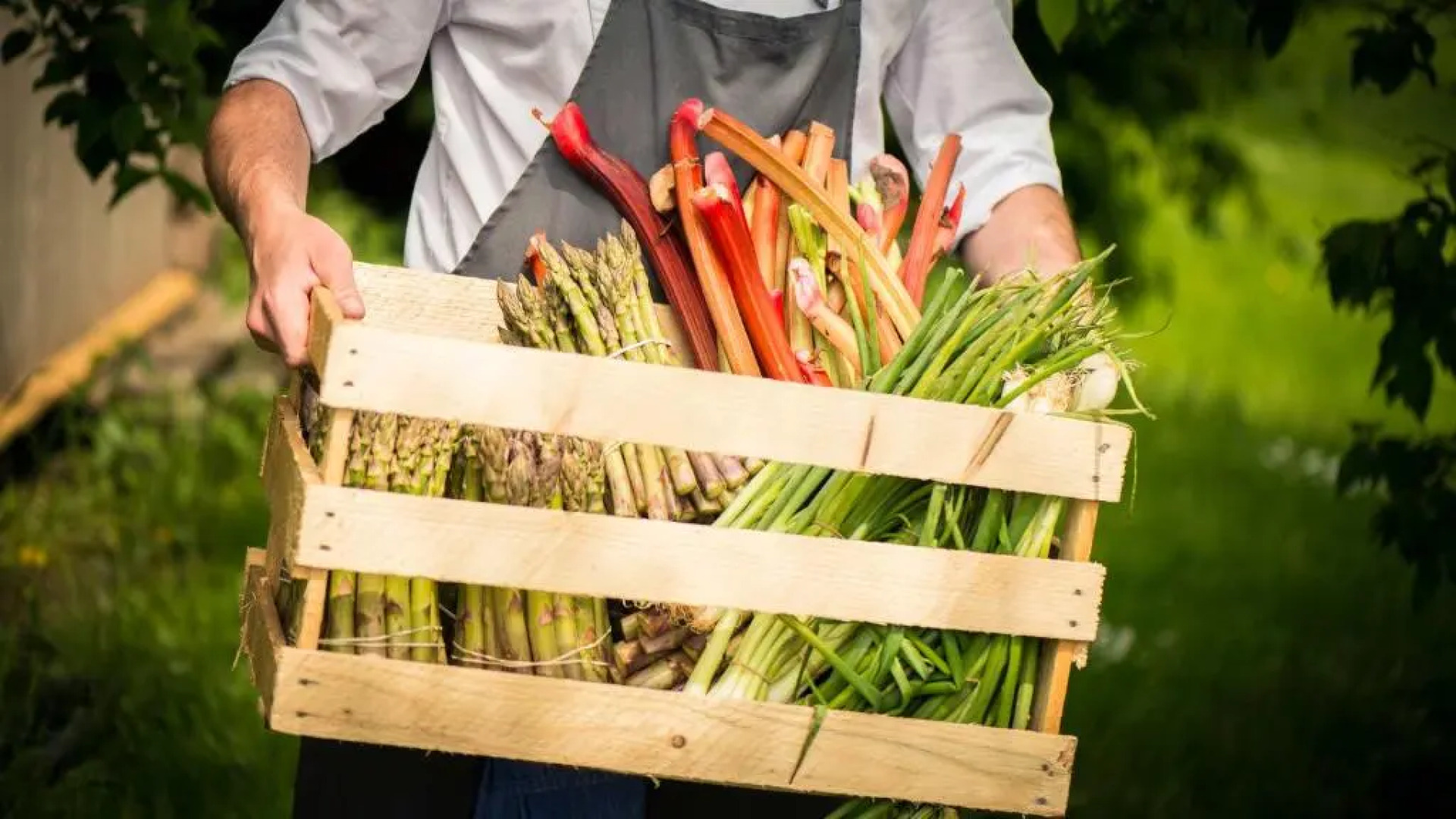 Borstahusen Campingresort