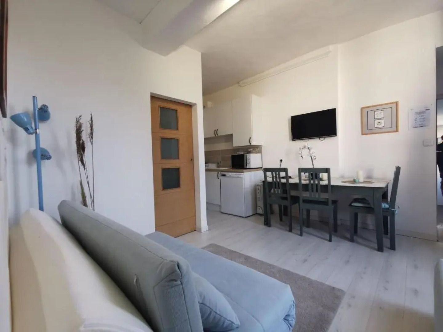 Le Chat De La Cathédrale