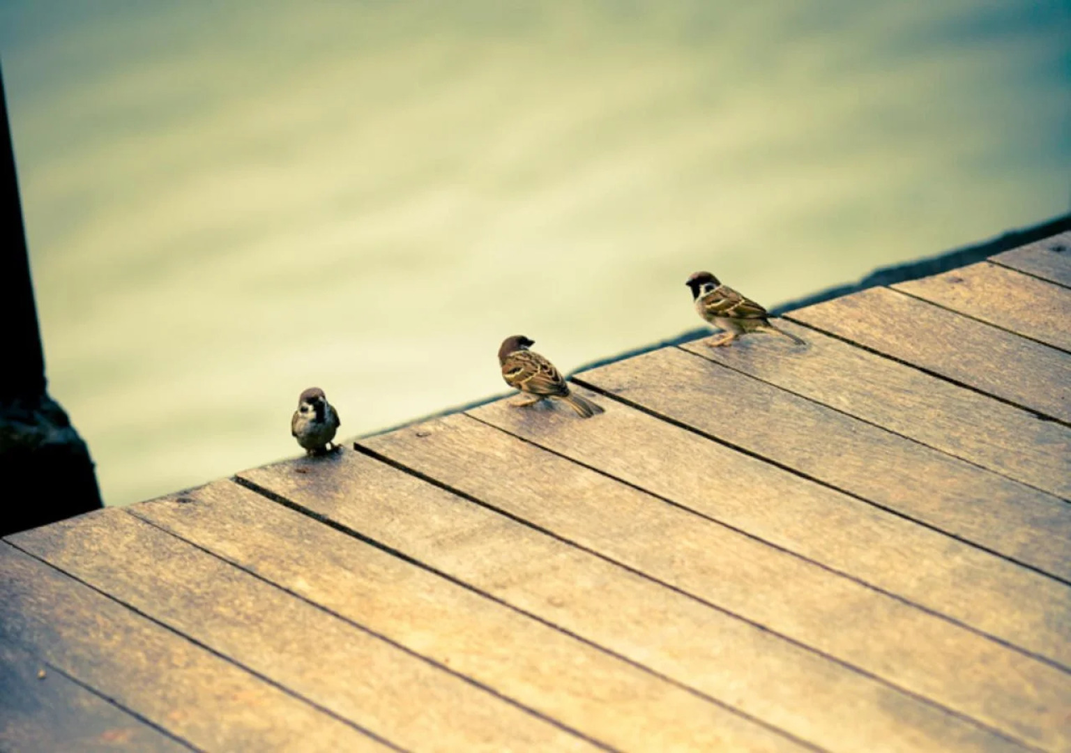 D Tunjung Resort & Spa