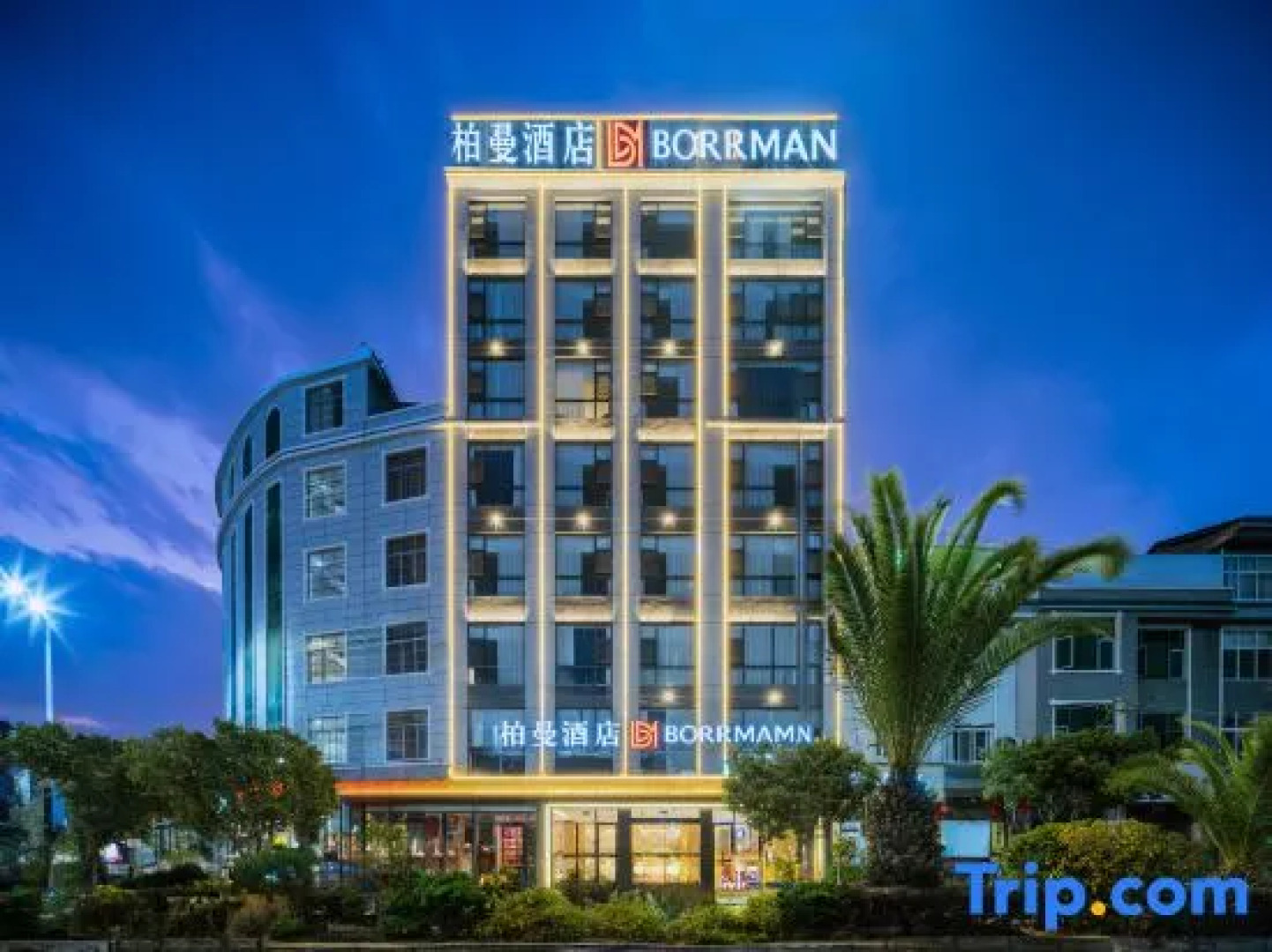 Borrman Hotel (Guangnan)