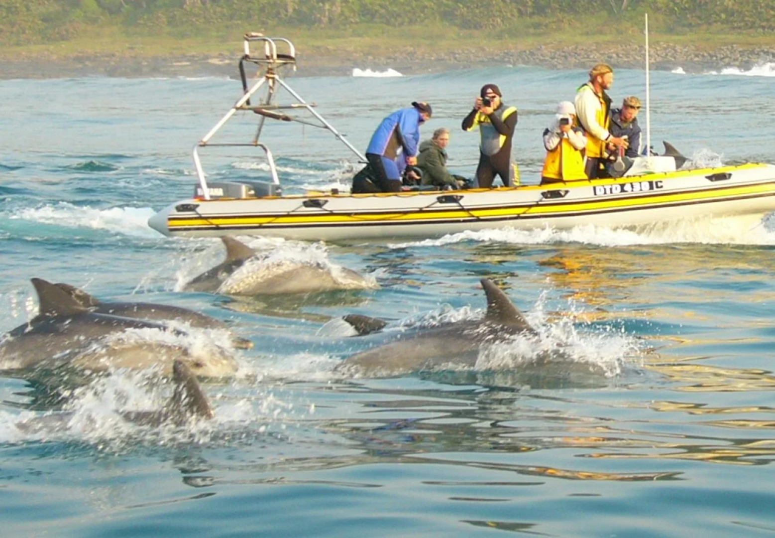 Cape St Francis Resort
