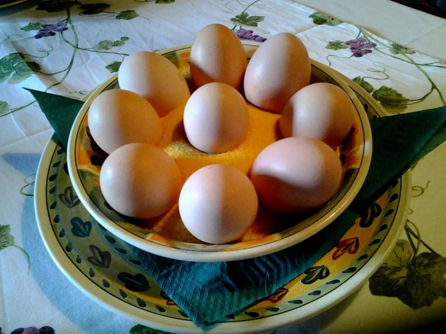 Agriturismo Melo in Fiore