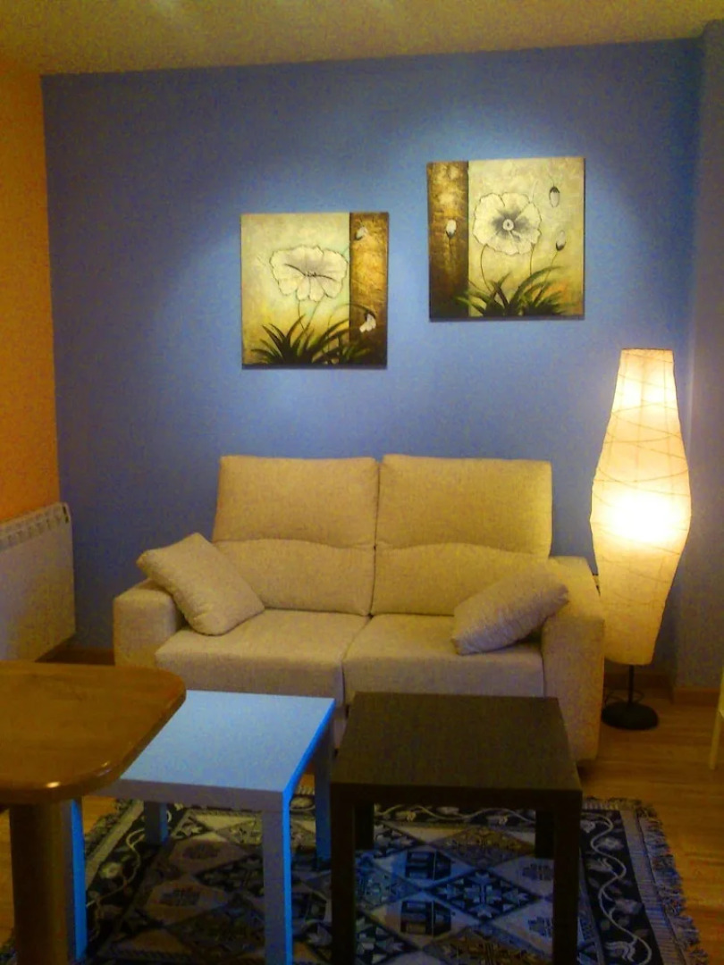 Apartamentos La Panerona Centro