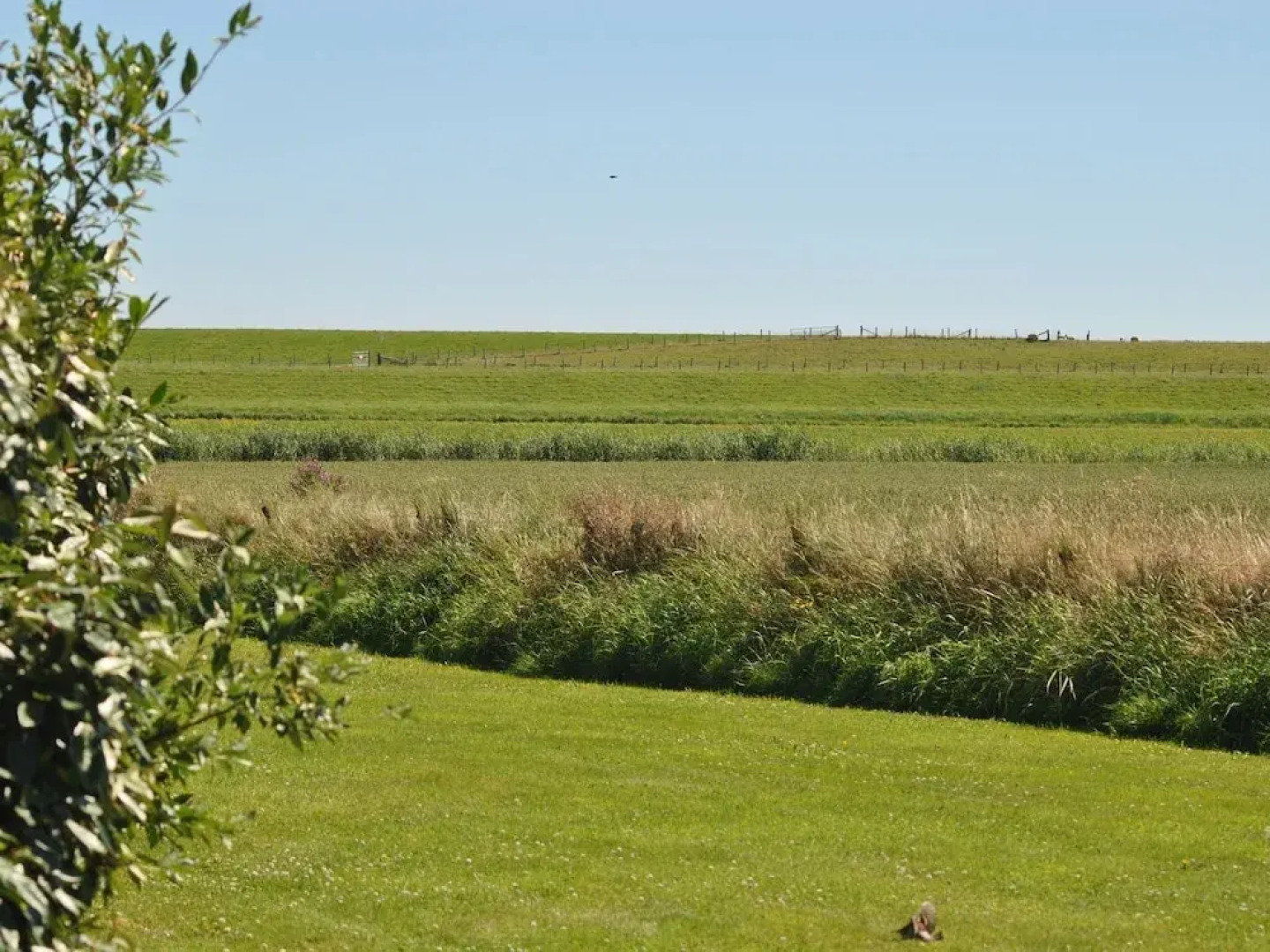 Charming Holiday Home in Texel