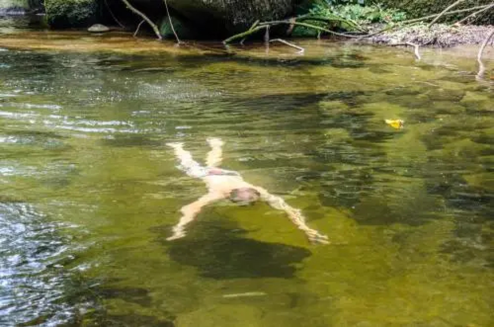 Na Mata Bistro & Hospedagem