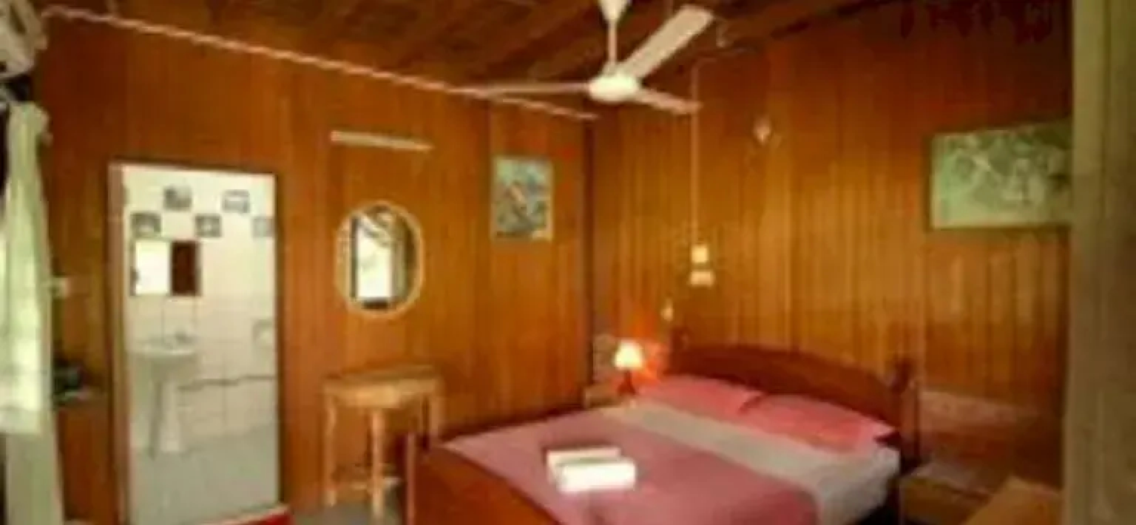Treetops Jungle Lodge