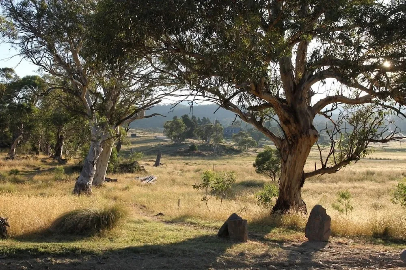 Ecocrackenback 10 'Sustainable, luxurious chalet close to the slopes.'