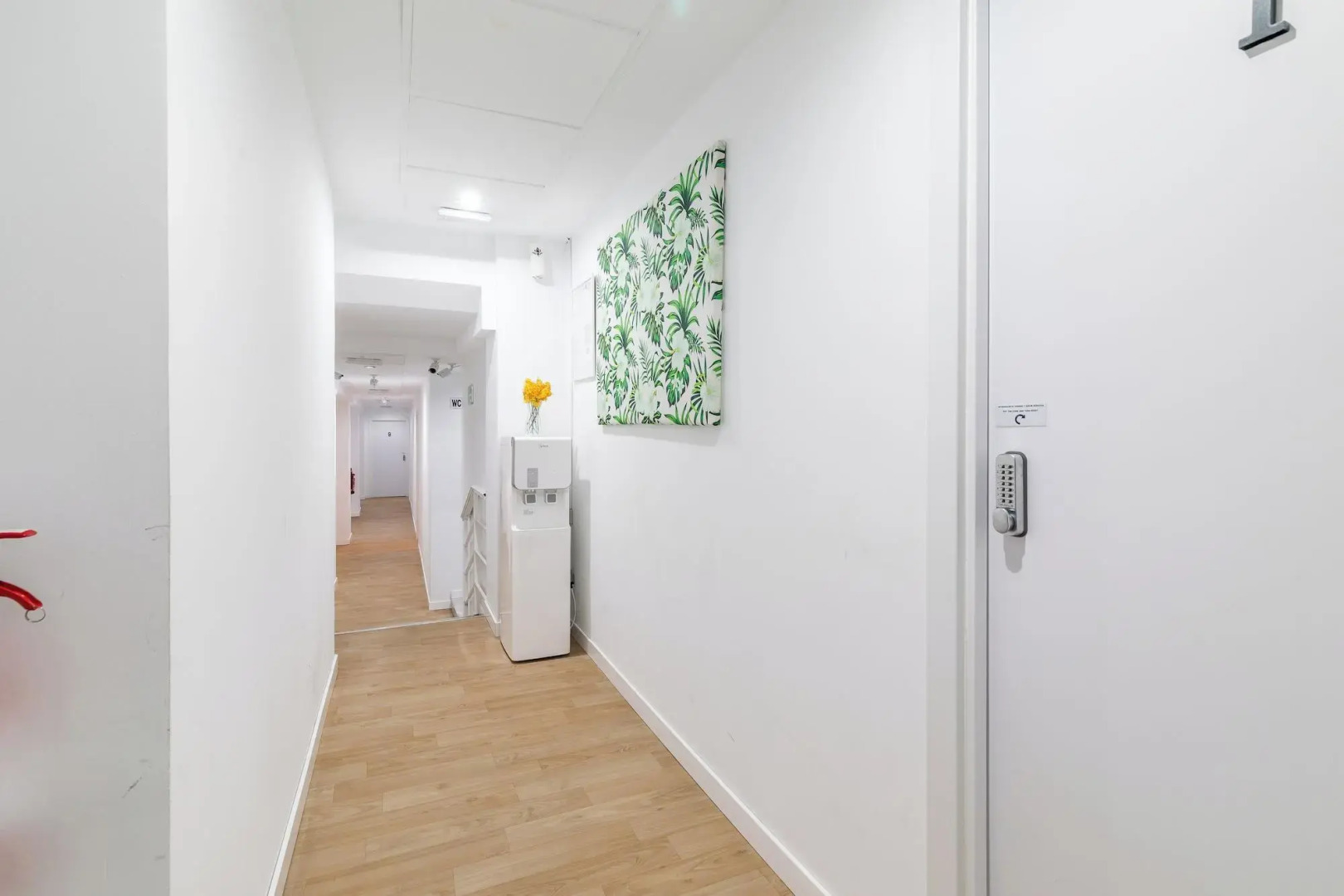 LooP América - Adults Only