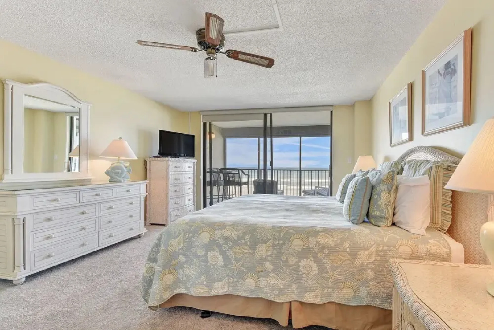 Sand Dollar 1-105
