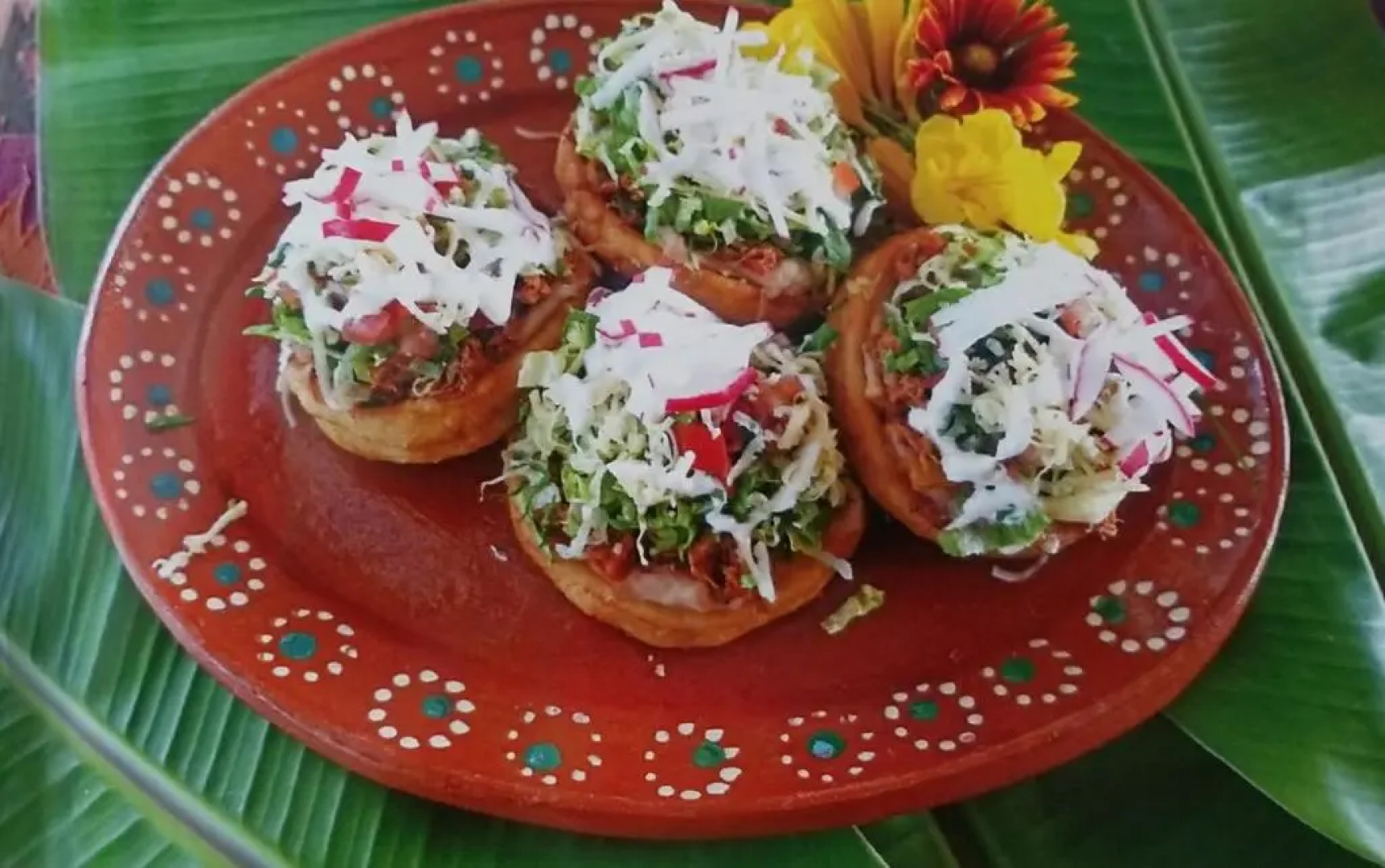 Rancho Las Cruces Baja California Sur