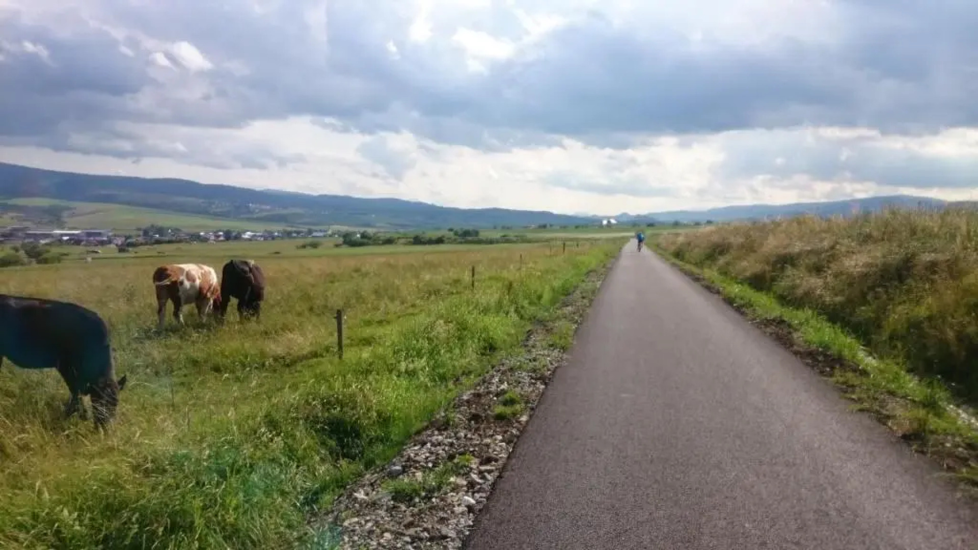 Alpský dom Vitanová