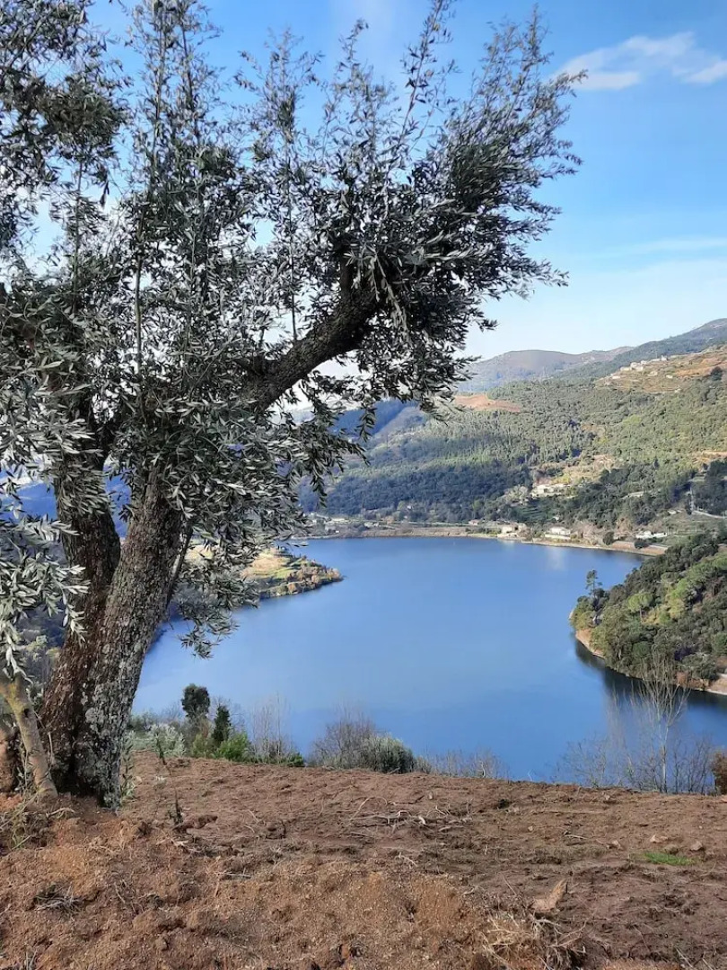 Quinta D'Joanes Douro