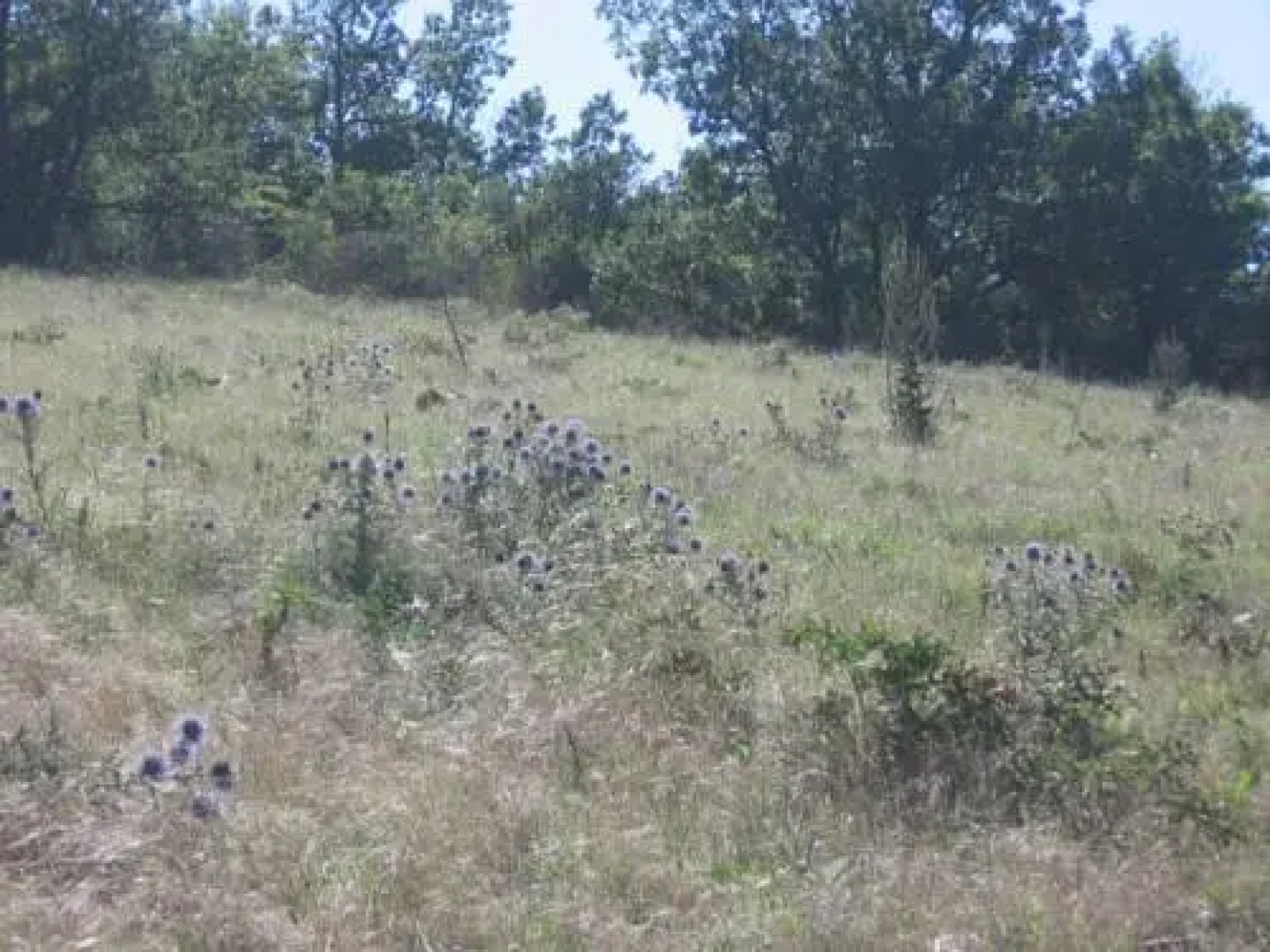 Chambres Dhôtes Ferrari Larzac Aveyron