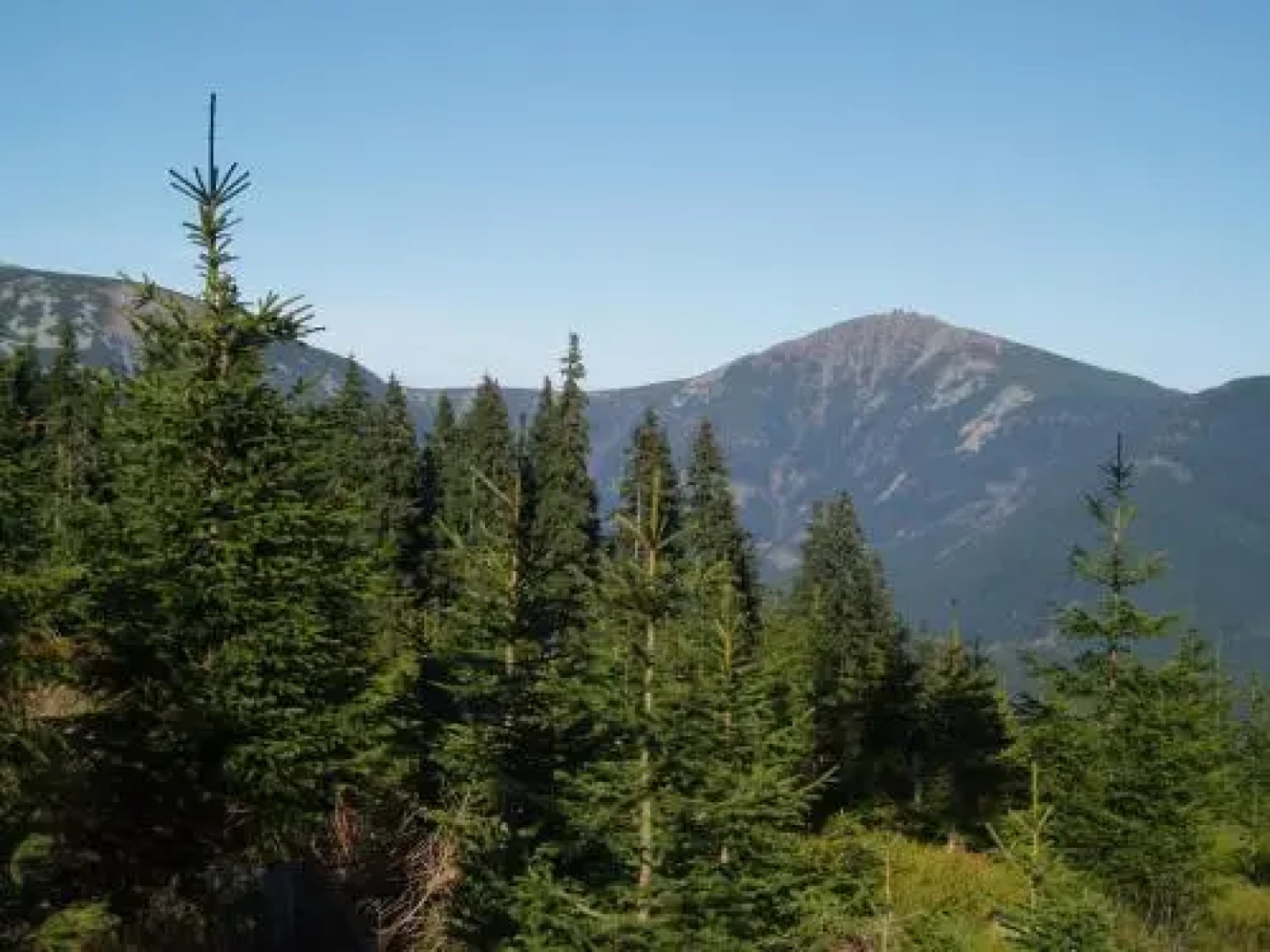 Cihlářská bouda, apartmán 307