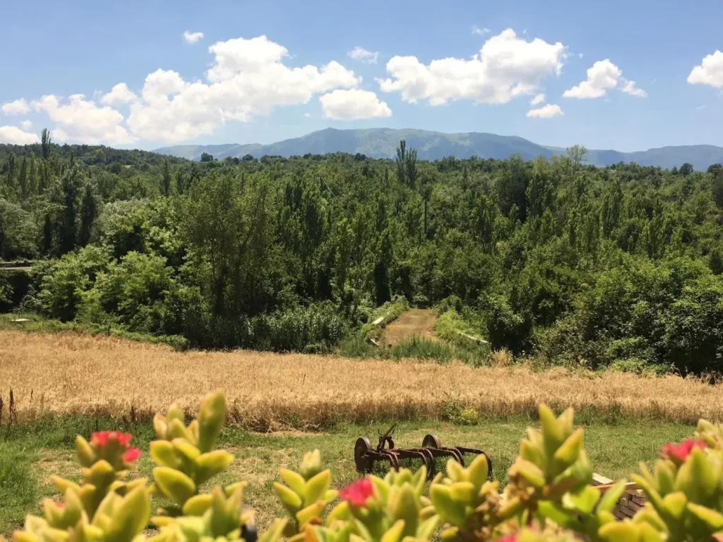 Bed&Breakfast La Ginestra