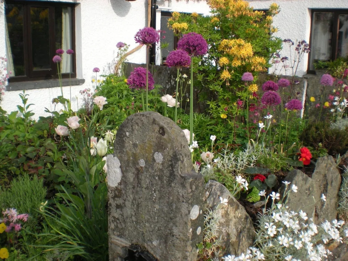 Buckle Yeat Guest House