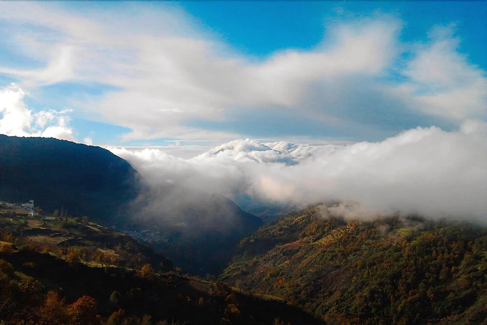 Aptos Rurales Rosendo El Oregano