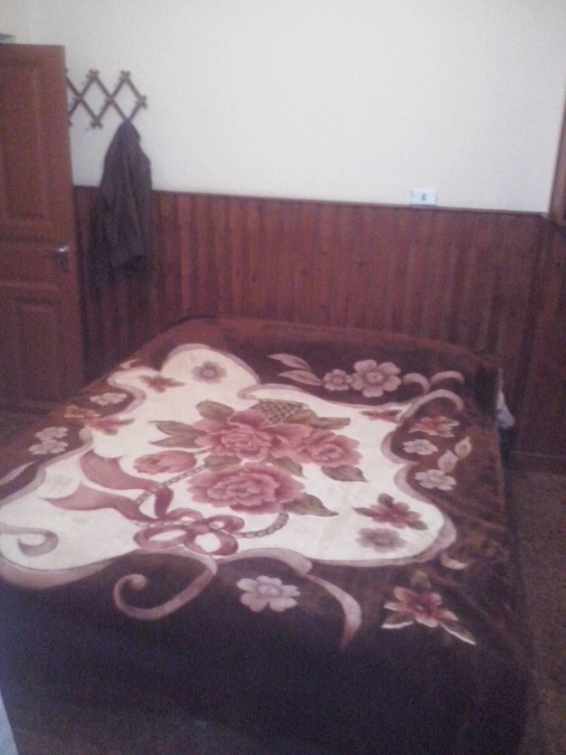 Tiger House Guesthouse