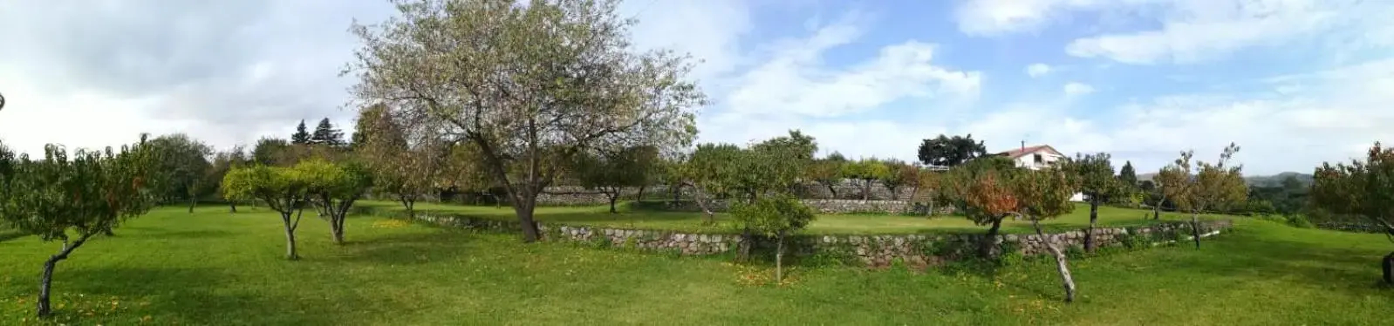 Villa Capo Grecale
