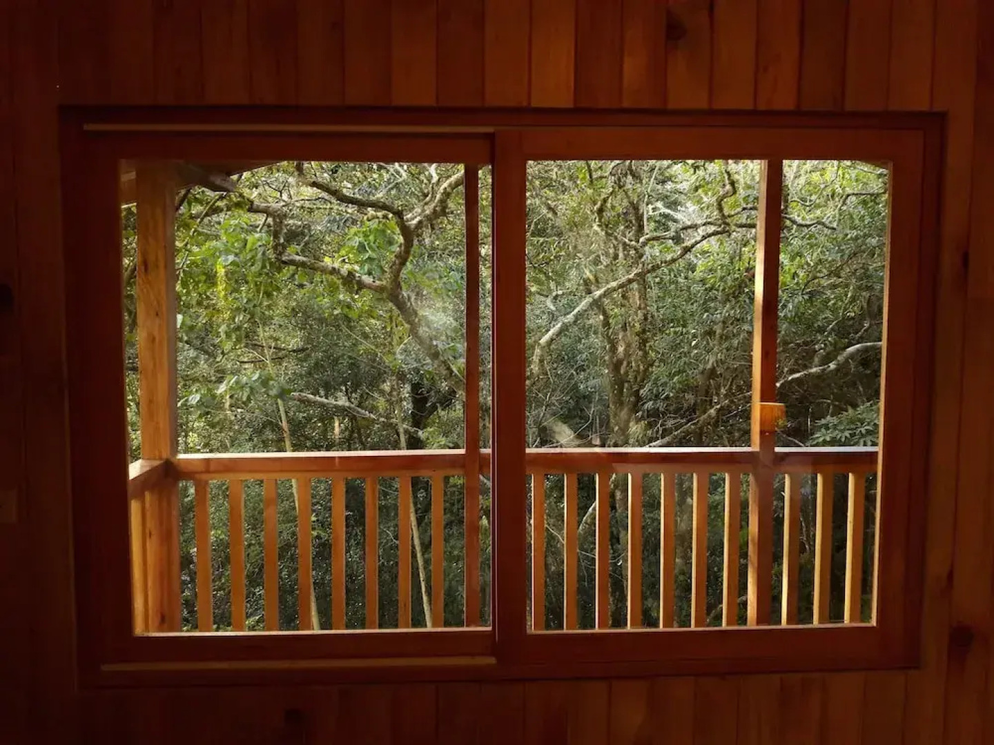 Mount Totumas Cloud Forest