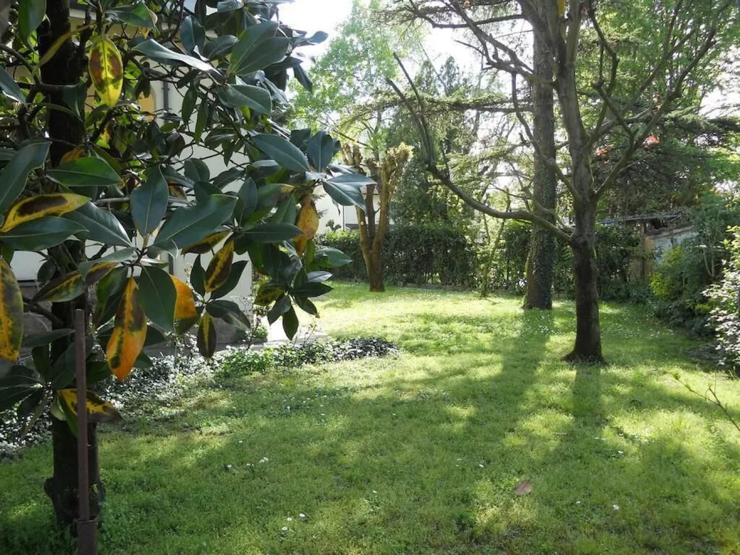 Casa Bellodi Novi di Modena