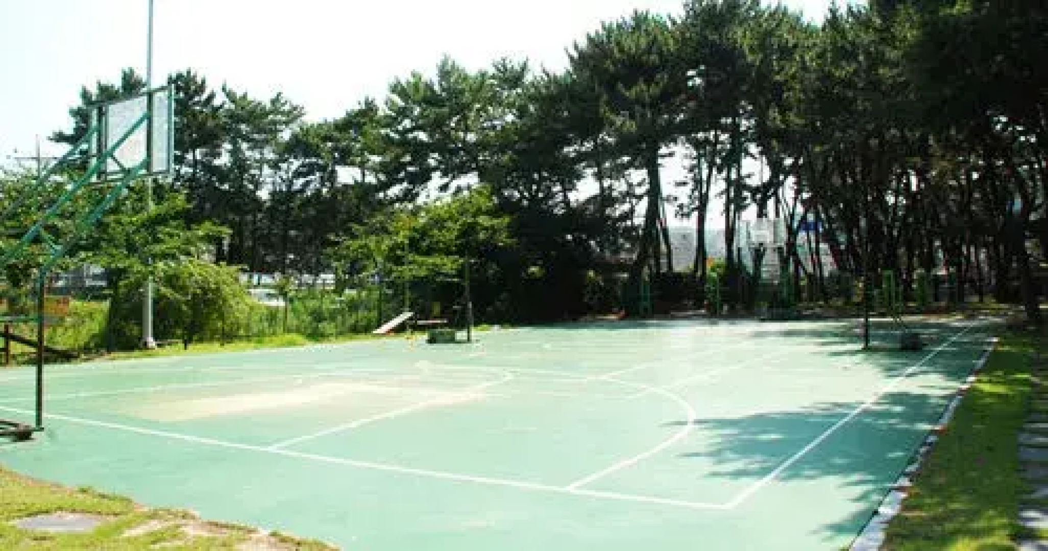 Jinha Hotel & Resort