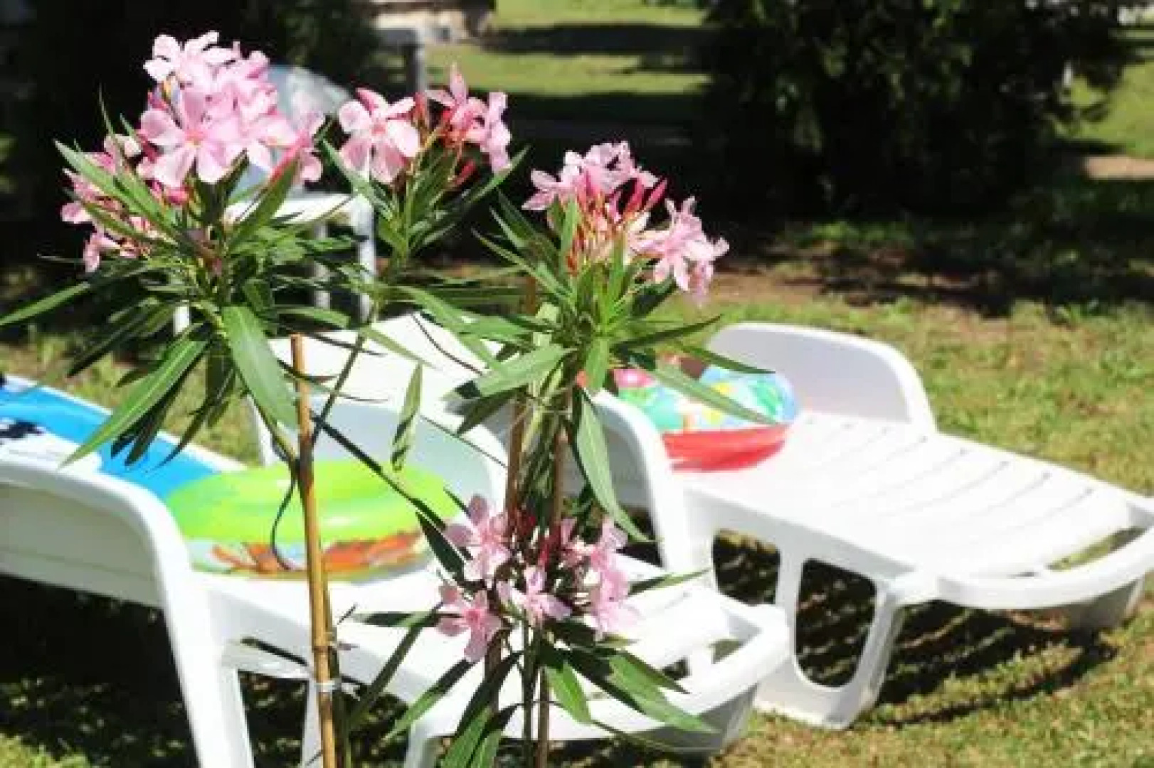 Hunguest Hotel Hőforrás