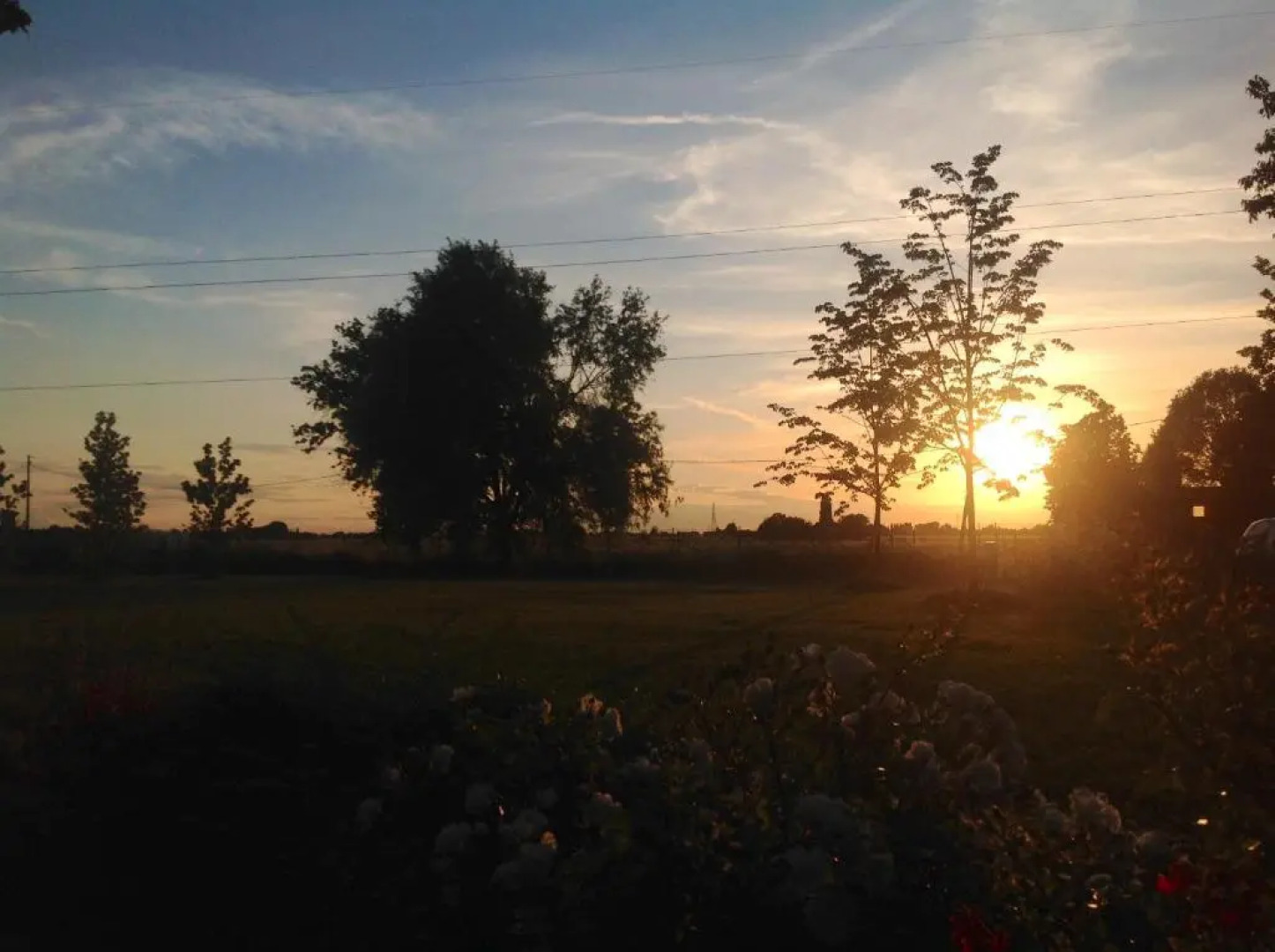 Vigoroso 41 Country House