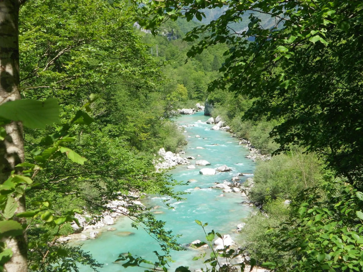 Apartment Zonir with sauna