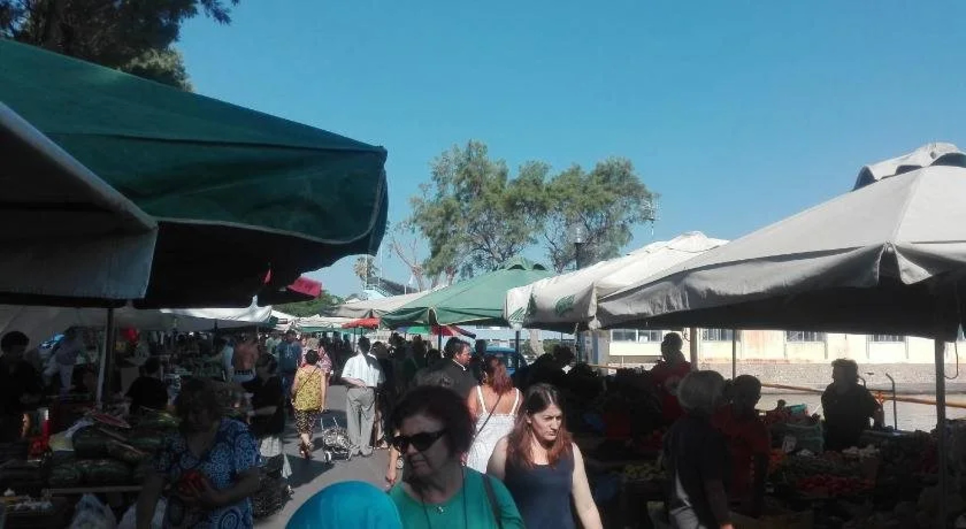 Villa Katerina Chania