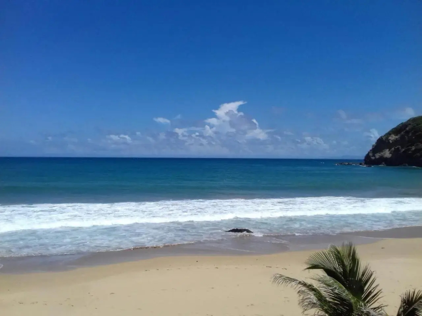 Bungalow Anse Figuier