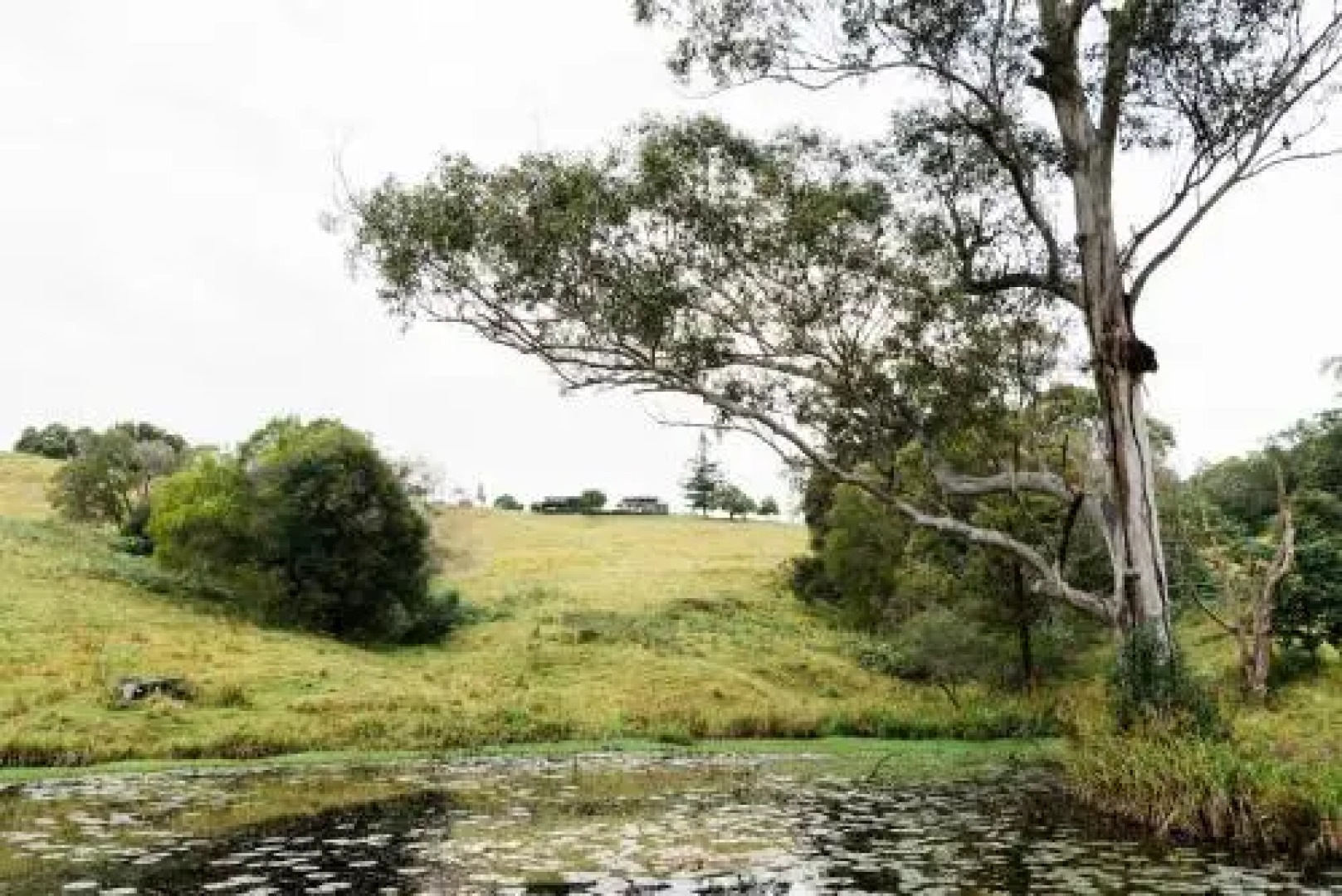 Thirlestane Farm Cottage